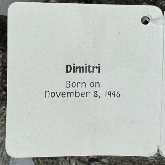 Russ ZONIES Earth Zone Beanie DIMITRI DIMETRODON Dinosaur Vintage Toy Plush 17" - Picture 7 of 10